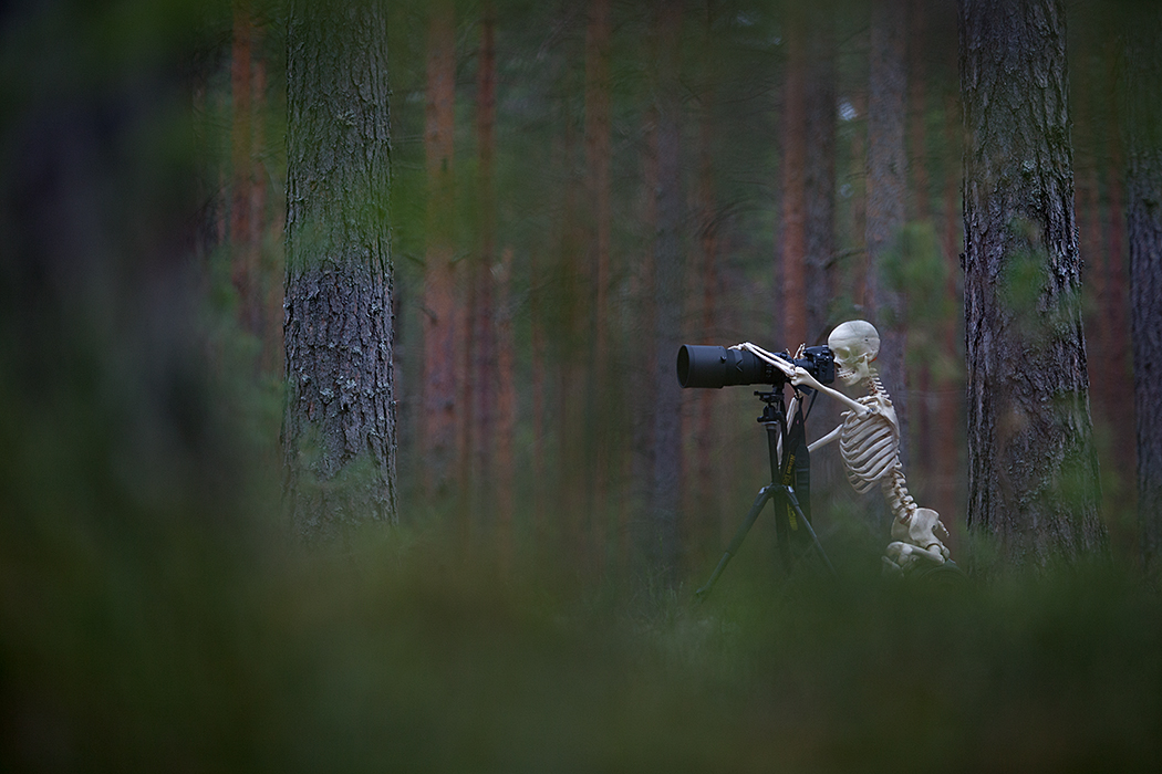 Loodusfotograaf