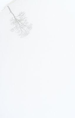 Vasakul üleval nurgas