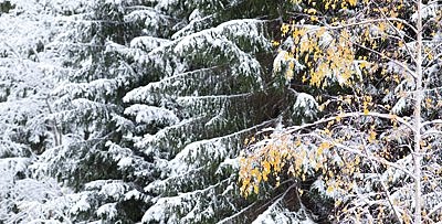 Talv tuli liiga vara