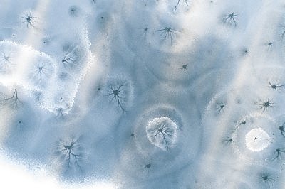 Kes need augud siia tegi