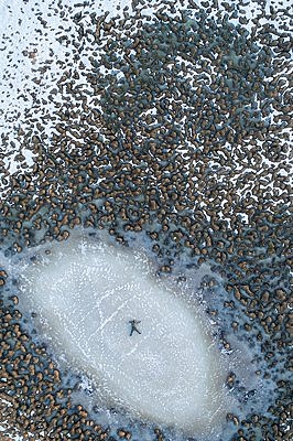 Mina ja minu abstraktne maailm