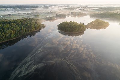 Õietolmus Pühajärv