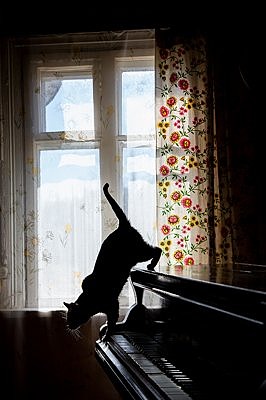 Klaveril klaverimängija